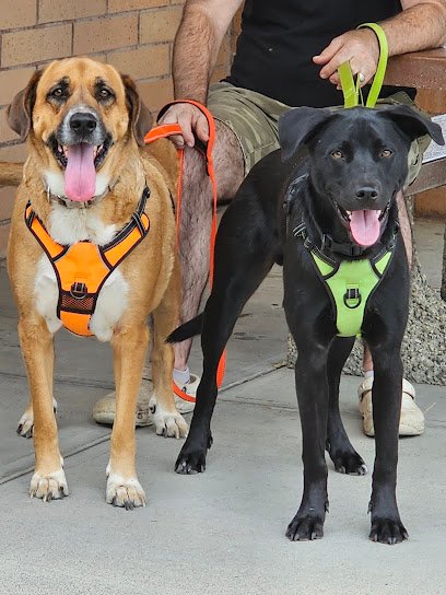 Golden Paws Pet Resort Salon