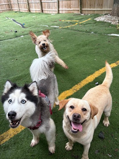 Happy Tails Pet Services