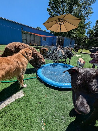 Happy Tails Playcare