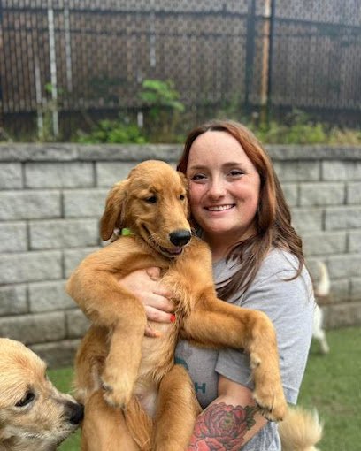 Hounds Lounge Pet Resort and Spa North Little Rock