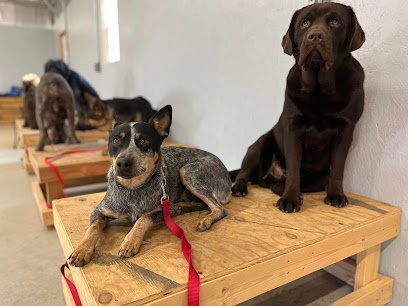 Ozark Canine Academy