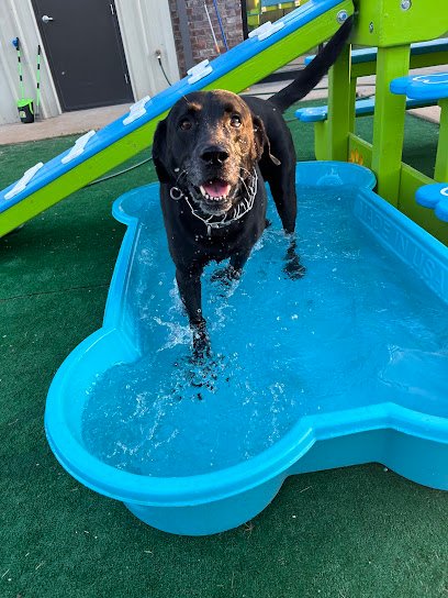 Pampered Pooches Playhouse