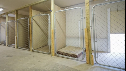 Paw Paws Dog Boarding