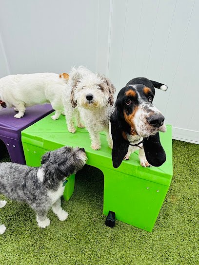 Paws n Rec Regional Airport