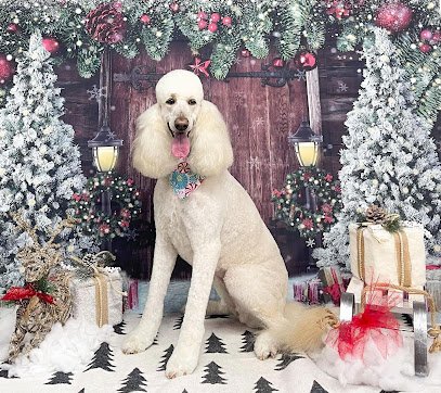 Roaming Paws Retreat Home Care LLC