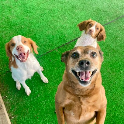 The Lodge at Cadron Ridge