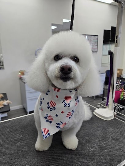 Dog day care in Aberdeen Maryland LaBella Pet Boutique 1