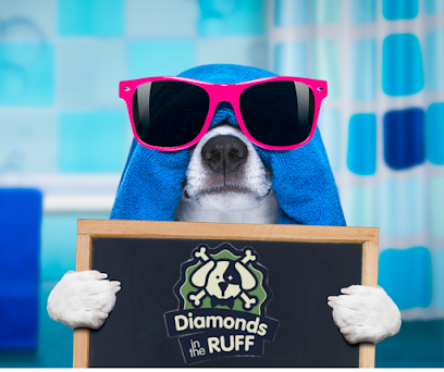 Dog day care in Abilene Texas Diamonds in the Ruff 1