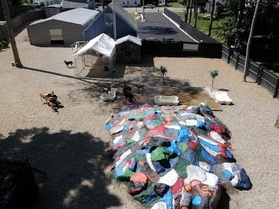 Dog day care in Abington Massachusetts Abington Dog Care 1