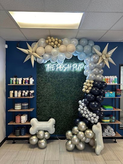 Dog day care in Acton Massachusetts The Posh Pup Acton 1