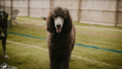 Dog day care in Acworth Georgia The Dog House Pet Resort LLC