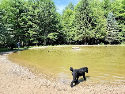 Dog day care in Ada Michigan Shaggy Pines Dog Park 1