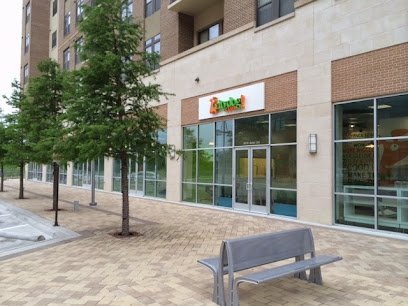 Dog day care in Addison Texas Citydog Club 1