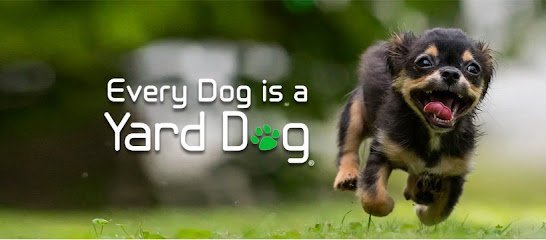 Dog day care in Addison Texas The Yard Dog 1