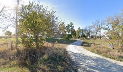 Dog day care in Adel Iowa Handsome Hounds Boarding and Grooming LLC 1