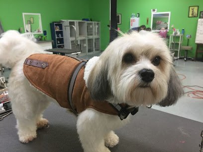 Dog day care in Agawam Massachusetts Agawam Dogworks 1