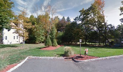 Dog day care in Airmont New York Lil Pup Sitter 1