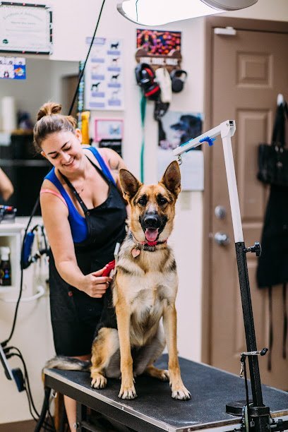 Dog day care in Alamogordo New Mexico Cottonwood Pet Resort 1