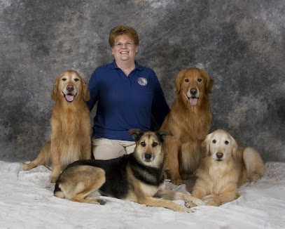 Dog day care in Albany New York All Dawgs 1