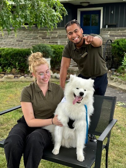 Dog day care in Albany New York Tumbaros Clubhouse 1