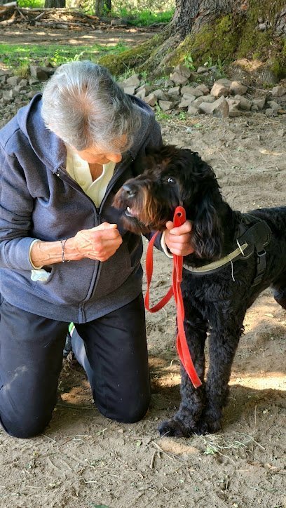 Dog day care in Albany Oregon Joyful Noise Dog Boarding 1