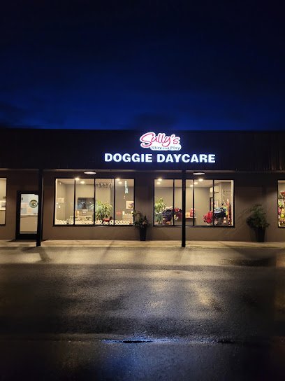 Dog day care in Albany Oregon Sully s Stay N Play 1