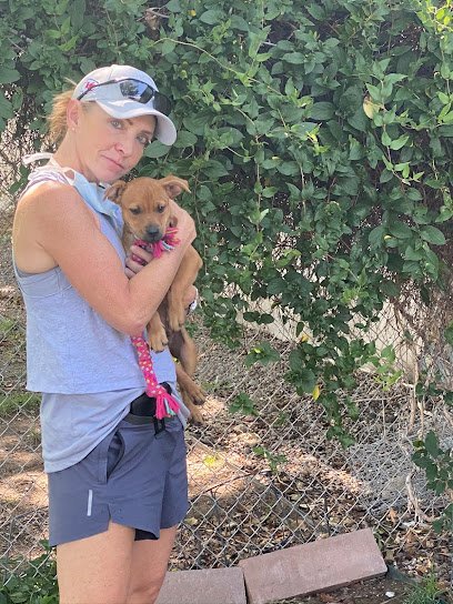 Dog day care in Albuquerque New Mexico Academy Kennels Boarding Grooming Salon 1