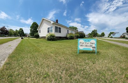Dog day care in Alpena Michigan Dogz Fur Dayz 1