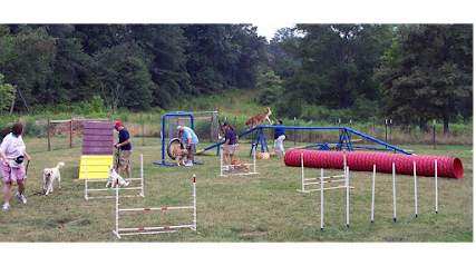 Dog day care in Alpharetta Georgia Atlanta Dog Trainer