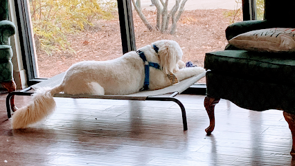 Dog day care in Alpharetta Georgia Doggie Bath House