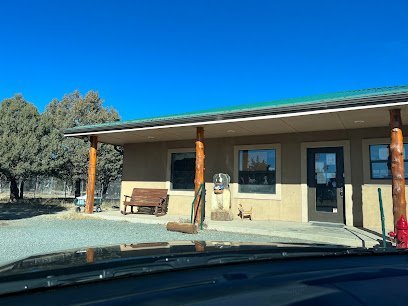 Dog day care in Alto New Mexico Thundering Paws Pet Ranch 1