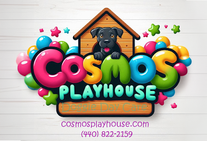 Dog day care in Amherst Ohio Cosmo s Playhouse 1
