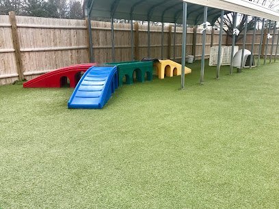 Dog day care in Andover Massachusetts The Dog Nanny 1