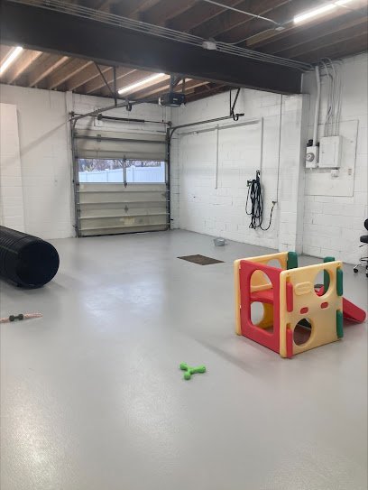 Dog day care in Ankeny Iowa PawsAbilities 1