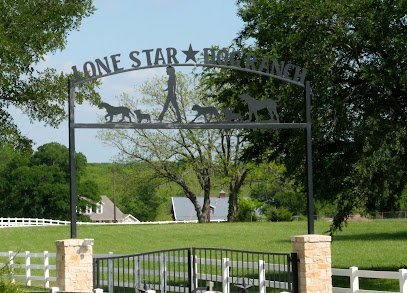 Dog day care in Anna Texas Lone Star Dog Ranch 1