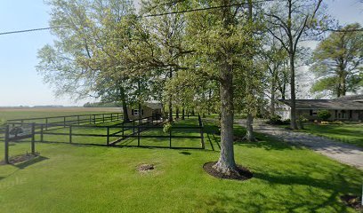 Dog day care in Arcanum Ohio Shade Tree Manor LLC 1