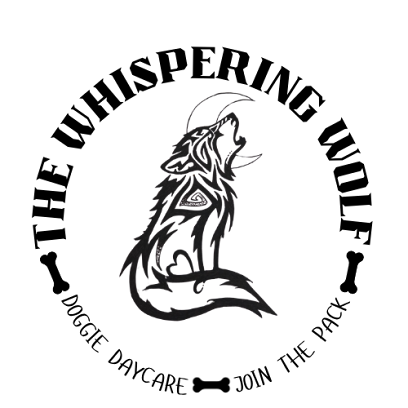 Dog day care in Arlington Massachusetts The Whispering Wolf 1