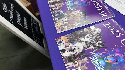 Dog day care in Arlington Texas Pixee s Paws Pet Palace Dog Boarding 1