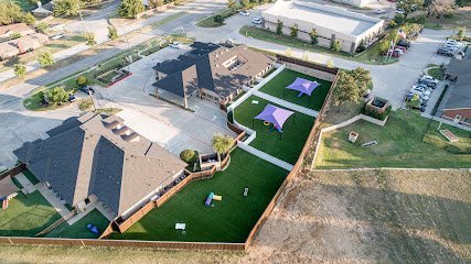 Dog day care in Arlington Texas The Royal Pet Resort and Spa 1