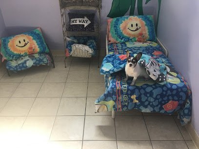 Dog day care in Arundel Maine Snazzy Pet Bed Biscuit 1