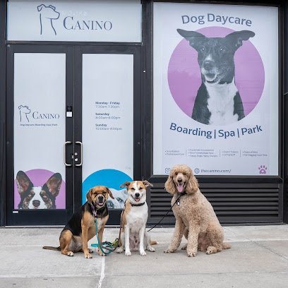 Dog day care in Astoria New York Canino Dog Daycare in Astoria 1