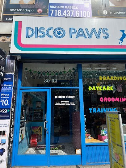 Dog day care in Astoria New York Disco Paws 1