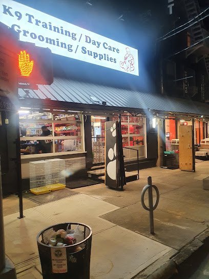 Dog day care in Astoria New York Vitality Health Pets Dog Daycare Astoria 1