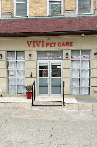Dog day care in Astoria New York Vivi Pet Care 1