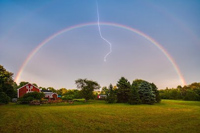 Dog day care in Atkinson New Hampshire Trollgaard Dog Day Care LLC 1