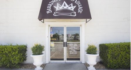 Dog day care in Atlanta Georgia Barking Hound Village Cheshire