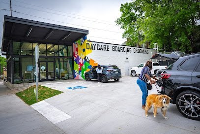 Dog day care in Atlanta Georgia Barking Hound Village Old 4th Ward