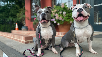 Dog day care in Atlanta Georgia Happy Hearts Pet Care Services