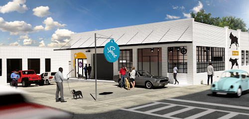 Dog day care in Atlanta Georgia Spot for Dogs LLC