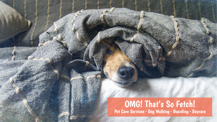 Dog day care in Atlanta Georgia That s So Fetch